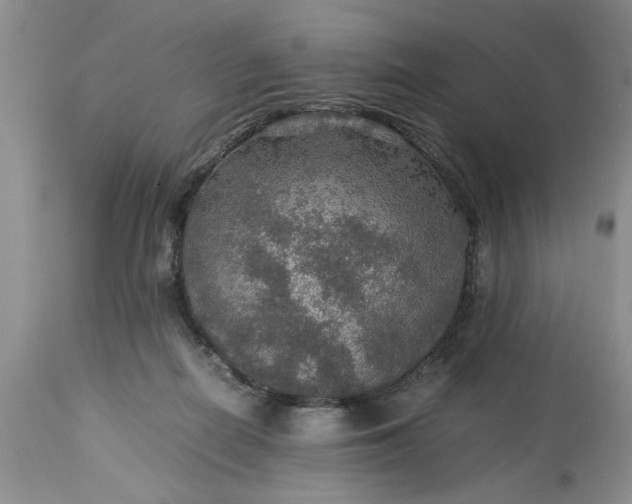 X0000113600266200910021747