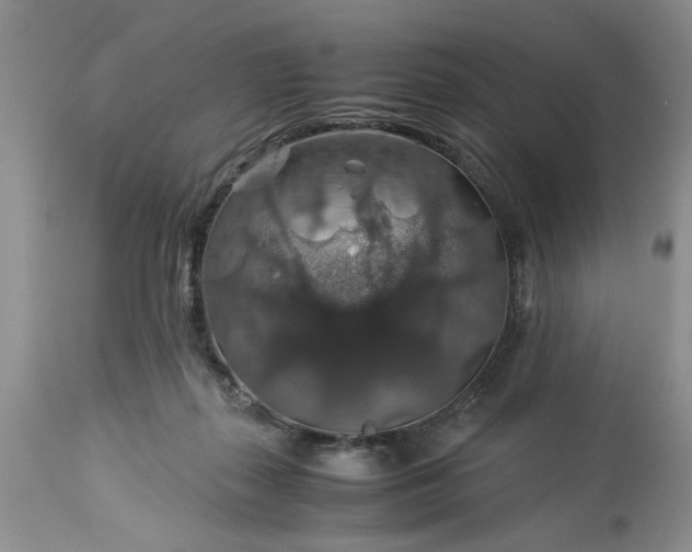 X0000113600267200910021748