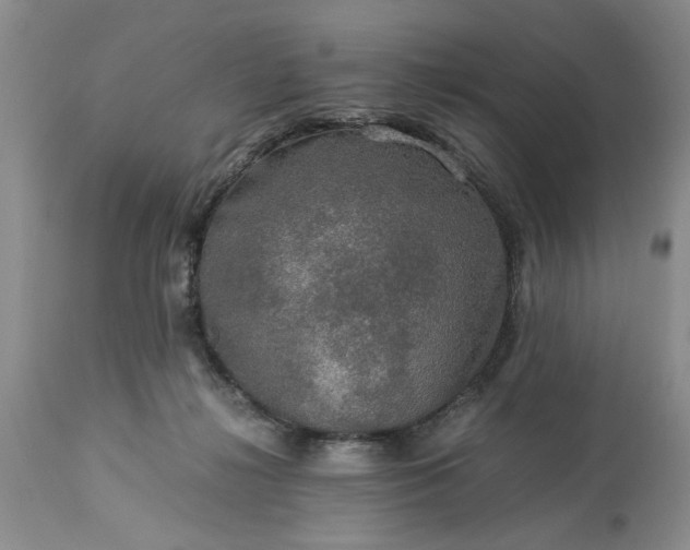 X0000113600268200910021748