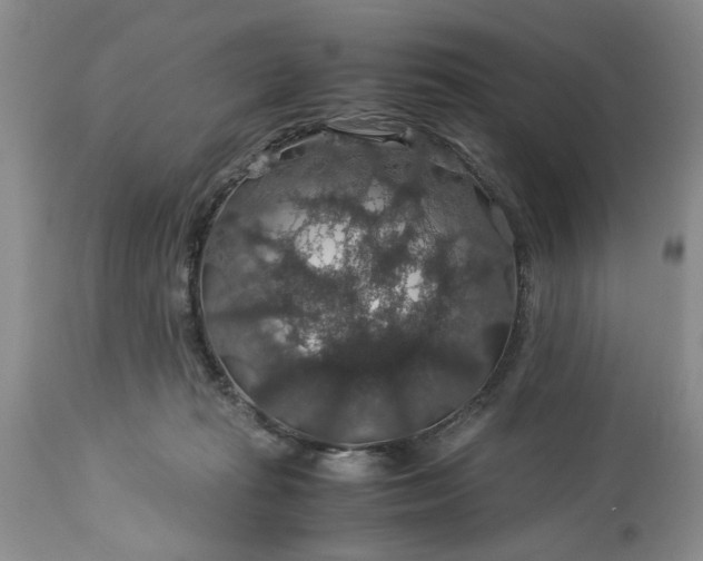 X0000113600269200910021748