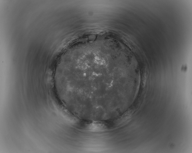 X0000113600270200910021748