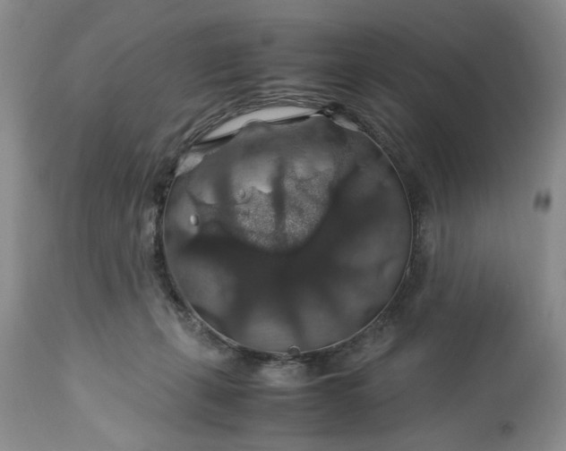 X0000113600271200910021748