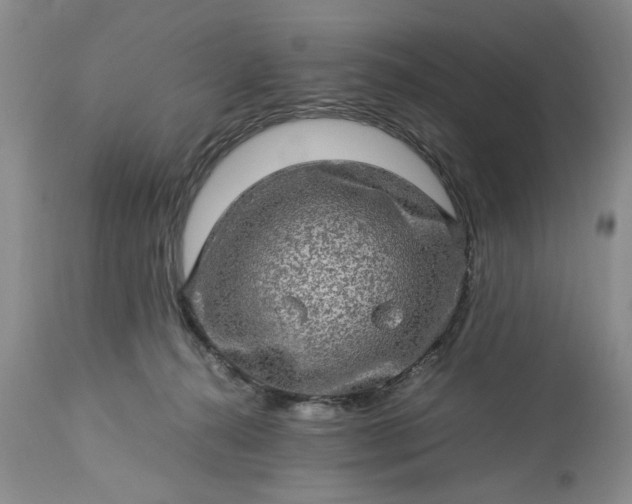 X0000113600272200910021748