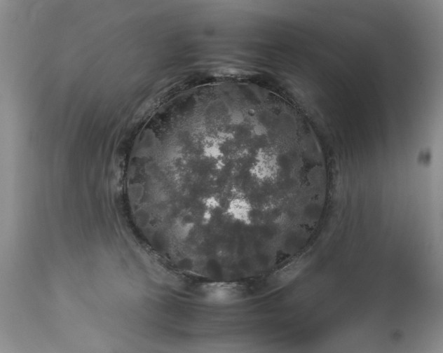 X0000113600273200910021748