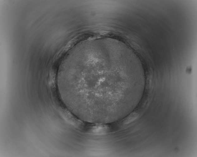 X0000113600274200910021748