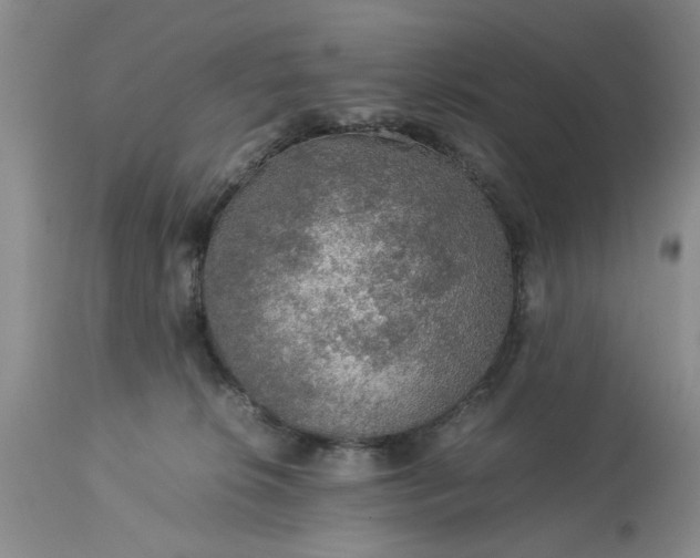 X0000113600276200910021748