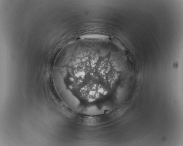 X0000113600277200910021748