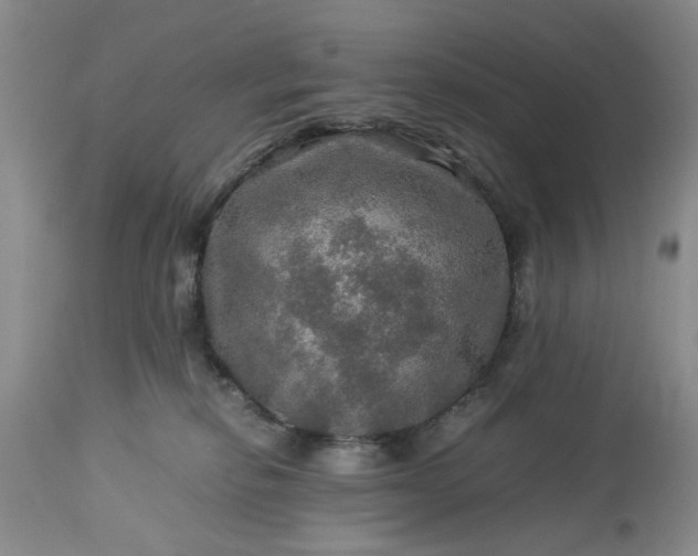 X0000113600278200910021748