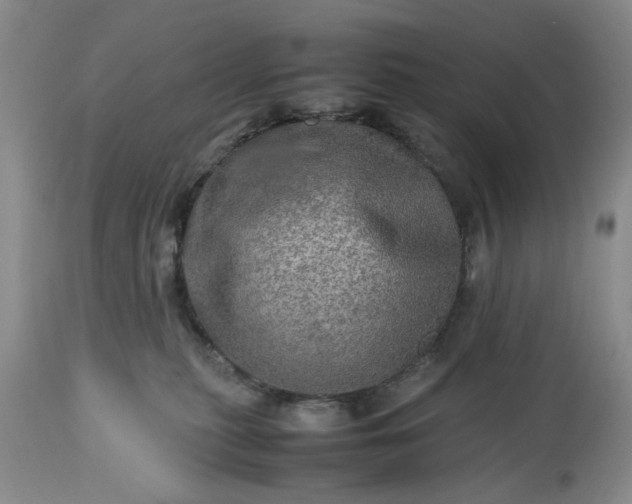 X0000113600279200910021748