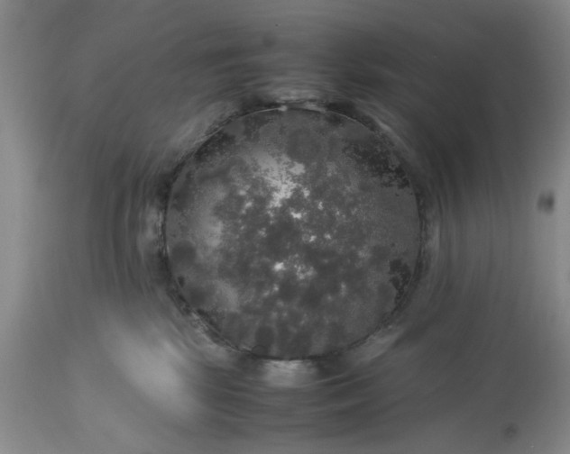 X0000113600281200910021748