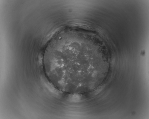 X0000113600282200910021748