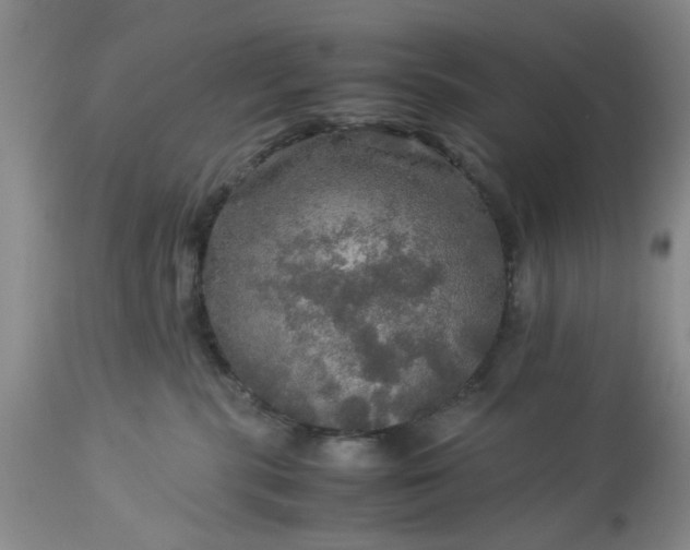 X0000113600283200910021748