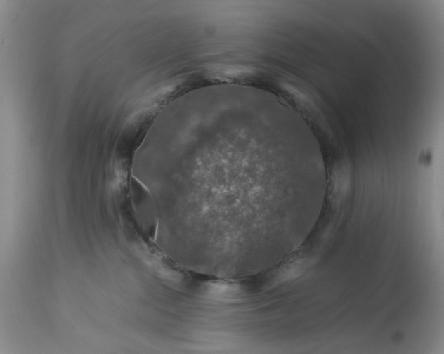 X0000113600284200910021748