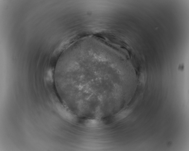 X0000113600286200910021748