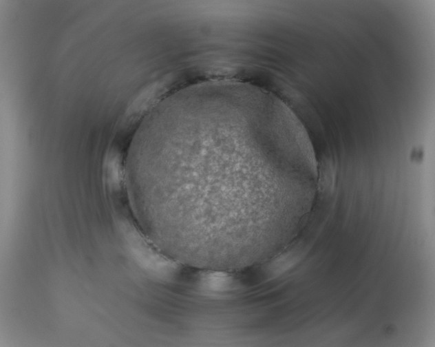 X0000113600287200910021748