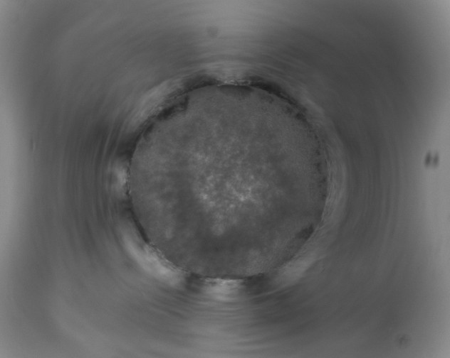 X0000113600288200910021748