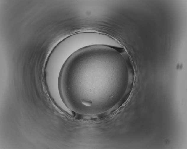 X0000113600289200910021747