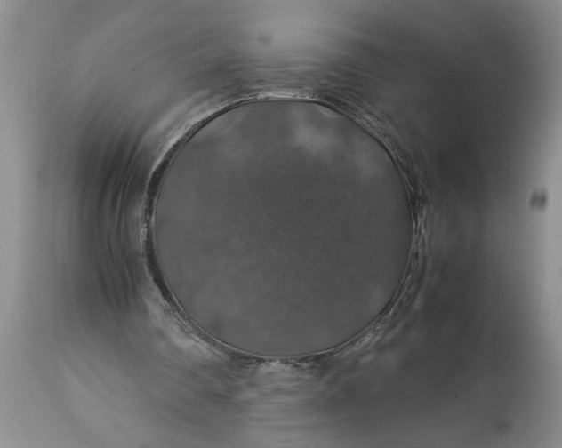 X0000113600290200910021747