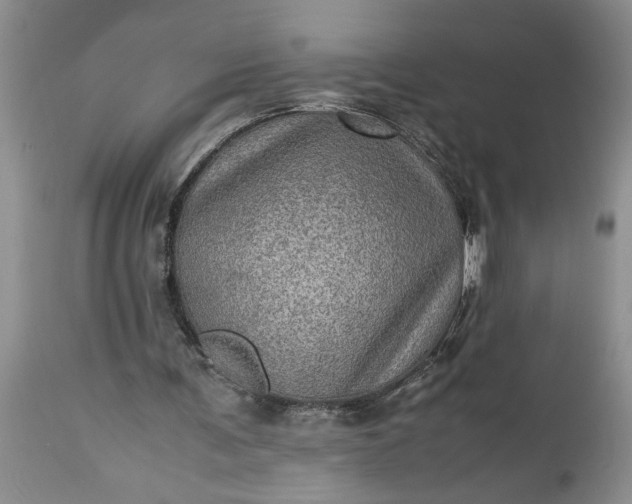 X0000113600291200910021747