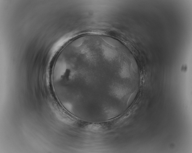 X0000113600294200910021747