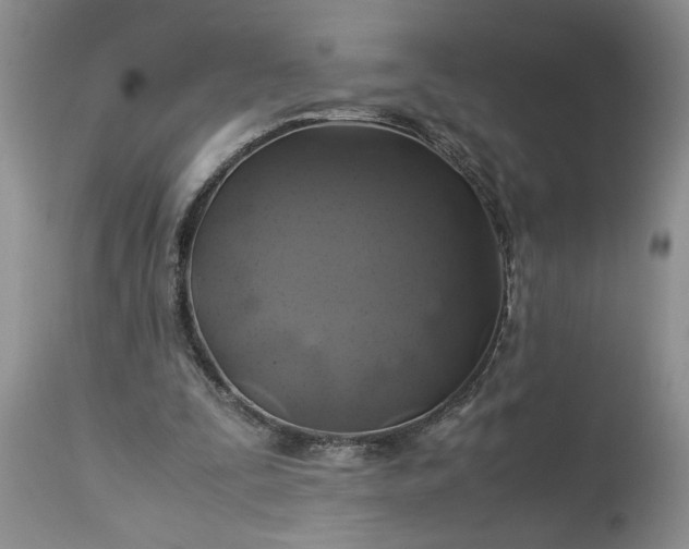 X0000113600295200910021747