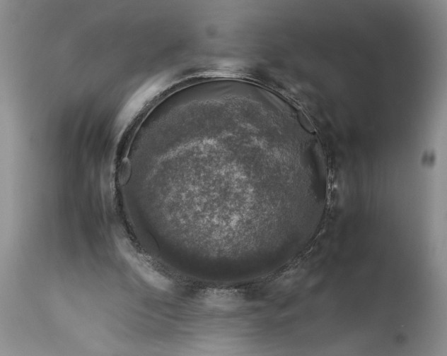 X0000113600296200910021747