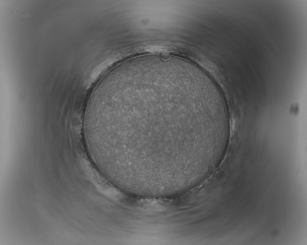 X0000113600297200910021747