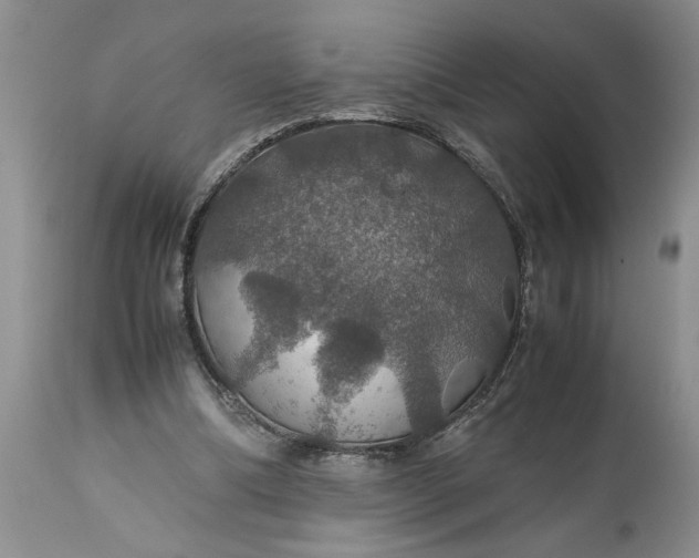 X0000113600298200910021747