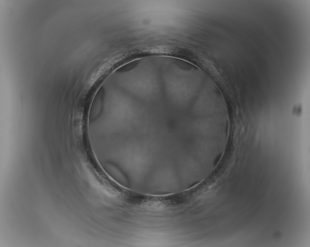 X0000113600299200910021747