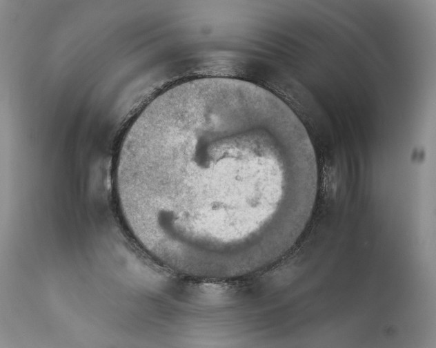 X0000113600302200910021747