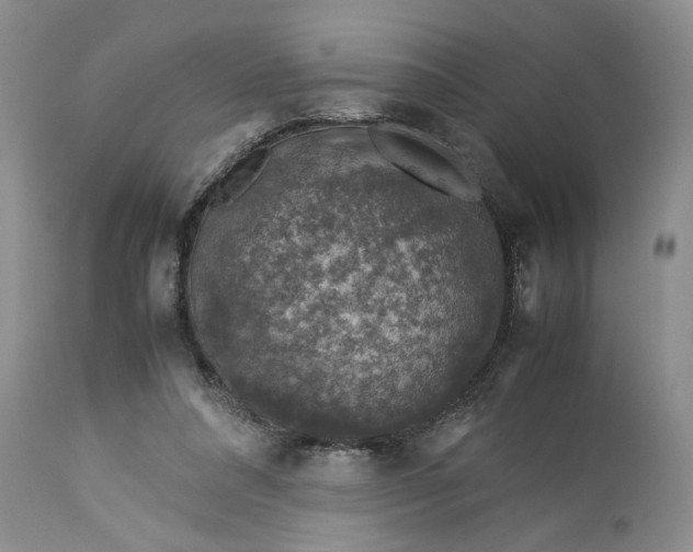 X0000113600304200910021747