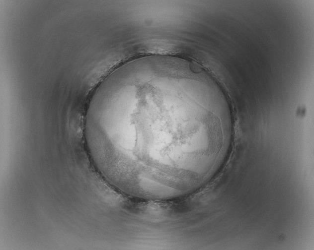 X0000113600305200910021747