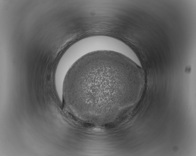 X0000113600308200910021747