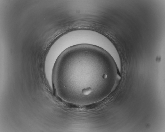 X0000113600309200910021747