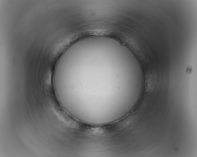 X0000113600310200910021747