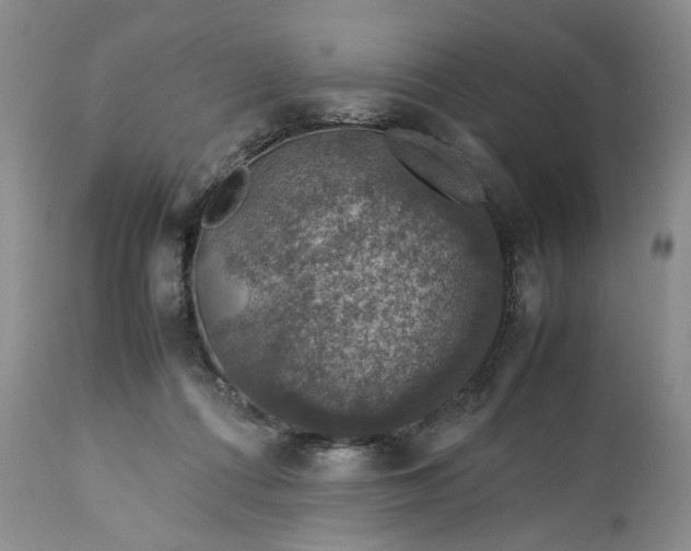 X0000113600312200910021747