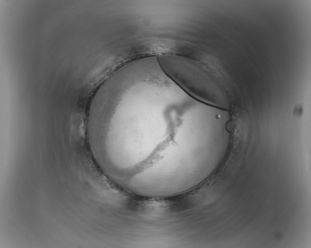 X0000113600313200910021747