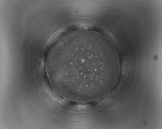 X0000113600314200910021747