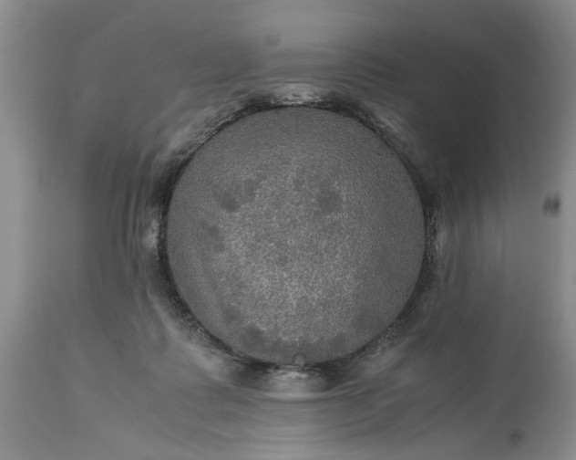 X0000113600315200910021747