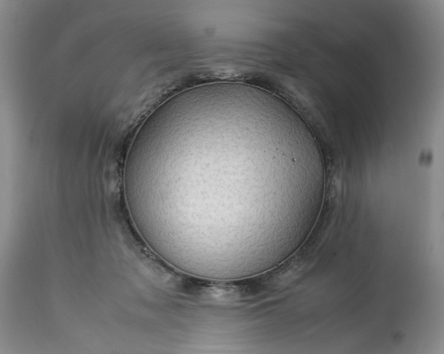 X0000113600317200910021747