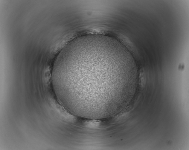 X0000113600318200910021747