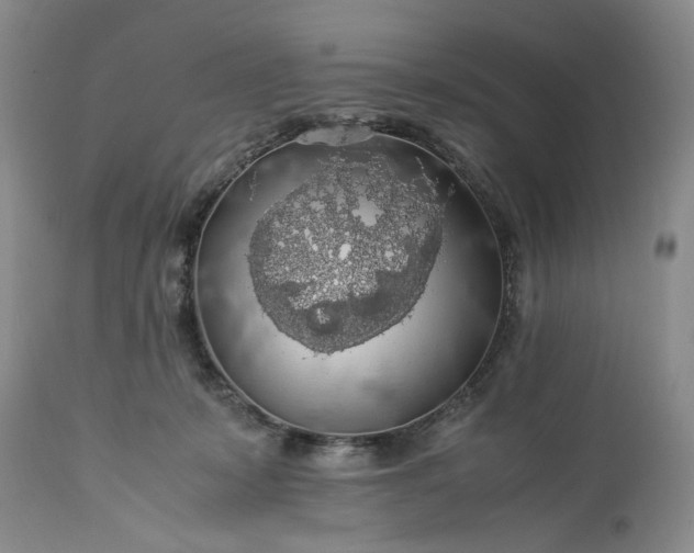 X0000113600319200910021747