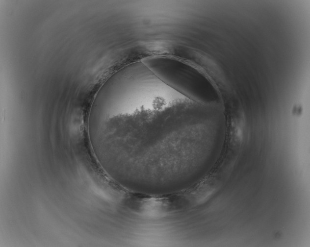 X0000113600320200910021747