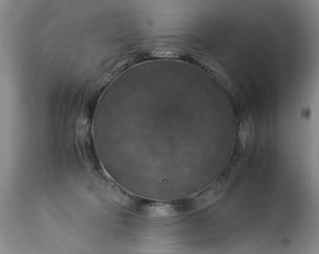 X0000113600322200910021747