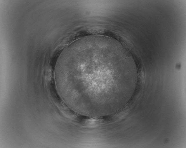 X0000113600323200910021747