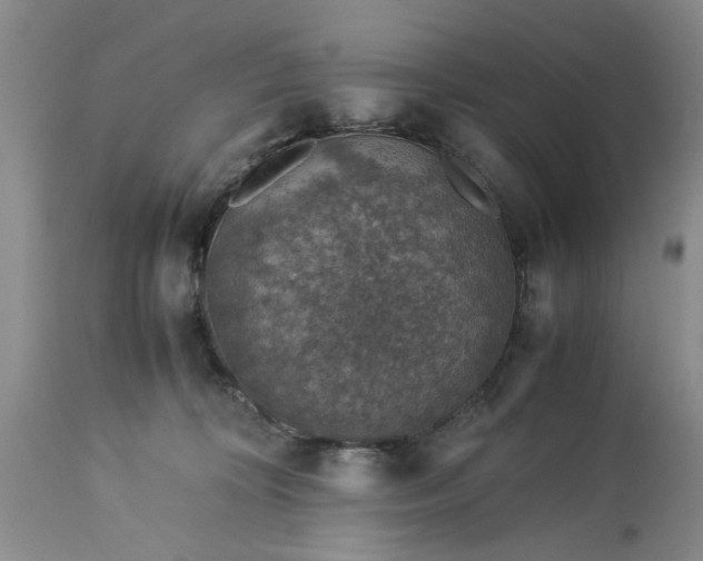 X0000113600324200910021747