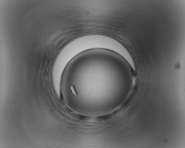 X0000113600325200910021747