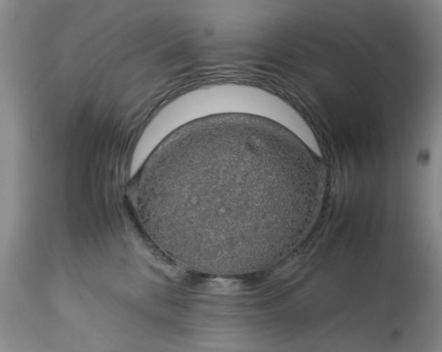 X0000113600328200910021747