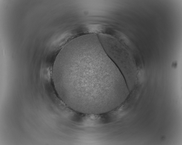 X0000113600329200910021747