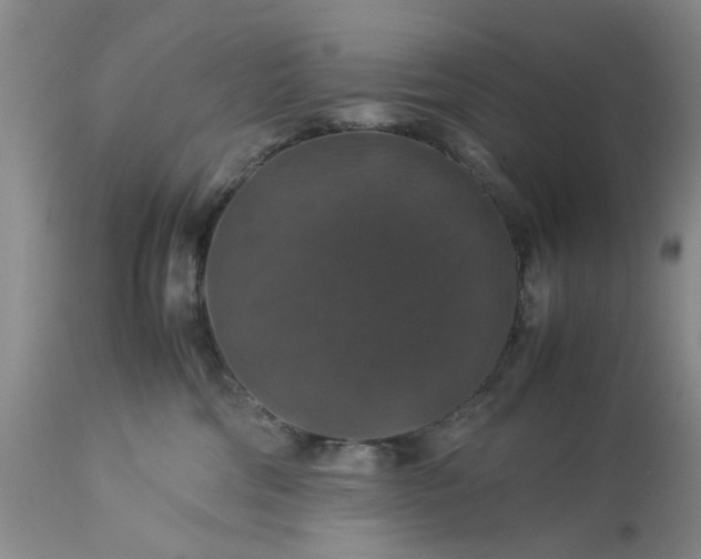 X0000113600330200910021747